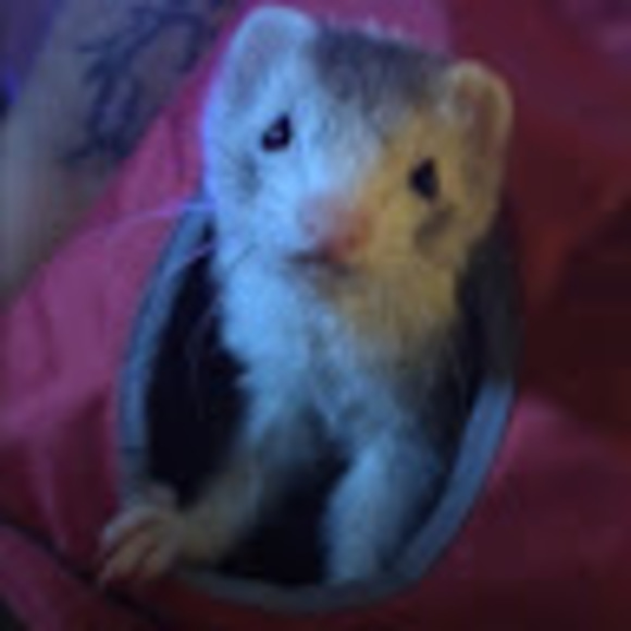 Meet your Posher, Heather Duva - Picture 1 of 1